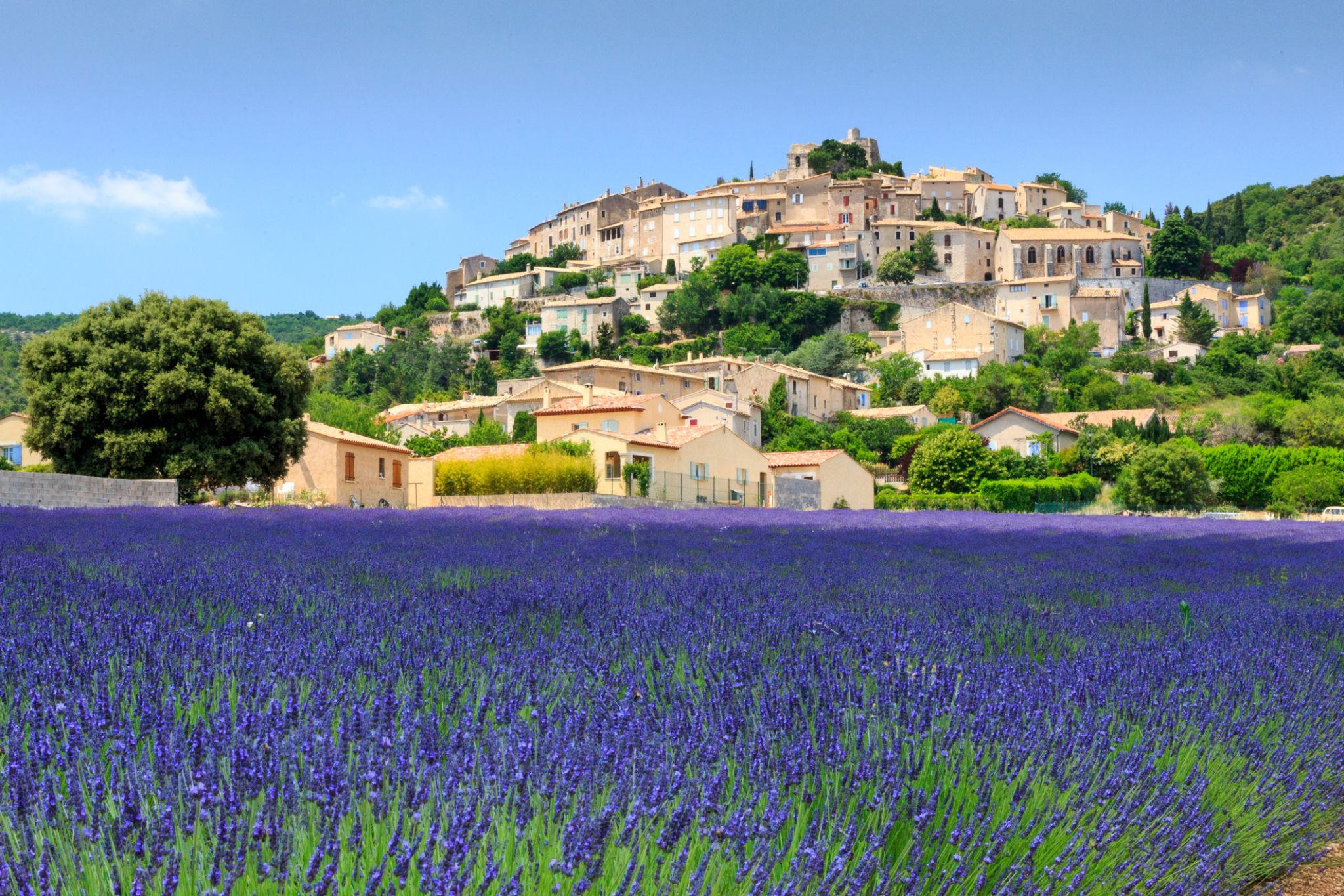 Village et champs de lavande